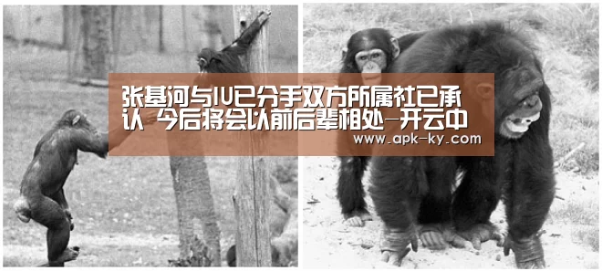 张基河与IU已分手双方所属社已承认 今后将会以前后辈相处-开云中国官网(图1) 开云官方平台