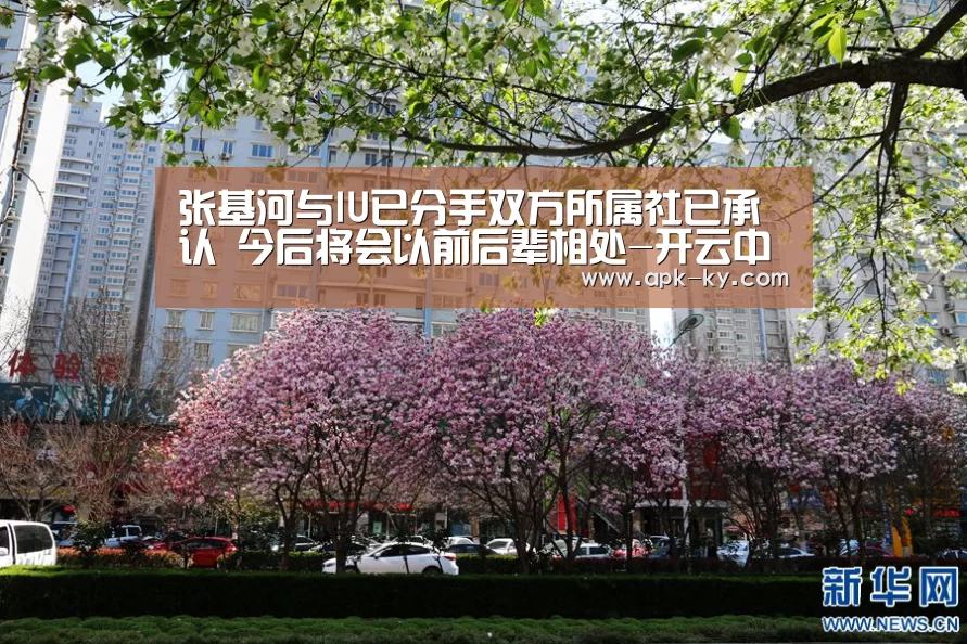 张基河与IU已分手双方所属社已承认 今后将会以前后辈相处-开云中国官网(图4) 开云官方平台