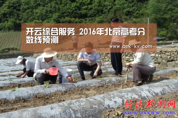 开云官网